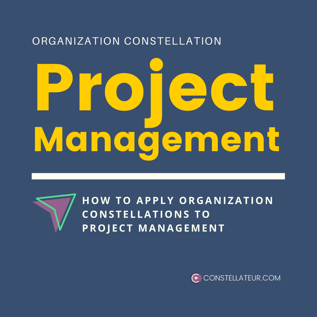 Systemic Organization Constellation Project Management Application Example