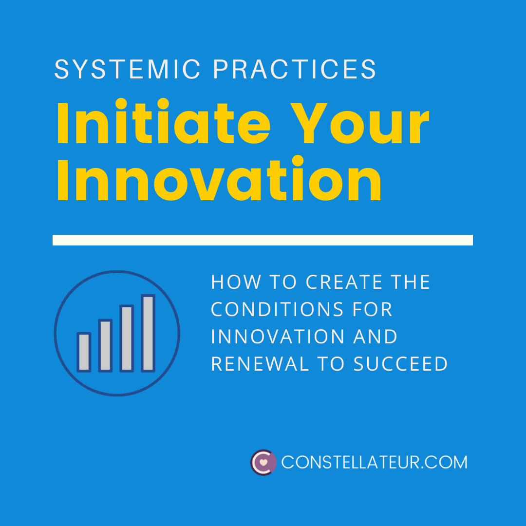 Systemic Insights for Innovation. Webinar