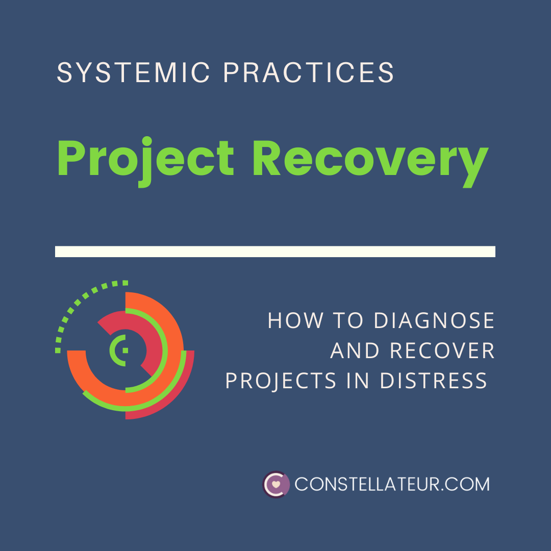Project Recovery and Turn-around with Systemic Insight
