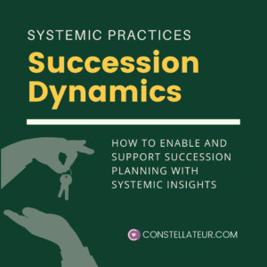 Succession Planning Dynamics