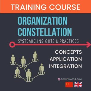 Organizsation Constellation Training with Tom Wittig